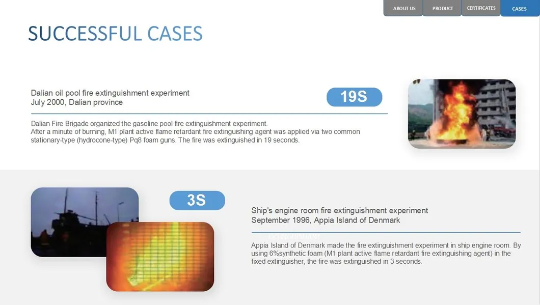 Latest Research and Development CO2 Fire Extinguisher