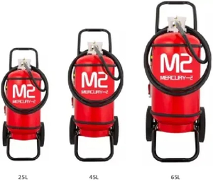 The Most Cost-Effective Option Metal Fire Extinguisher